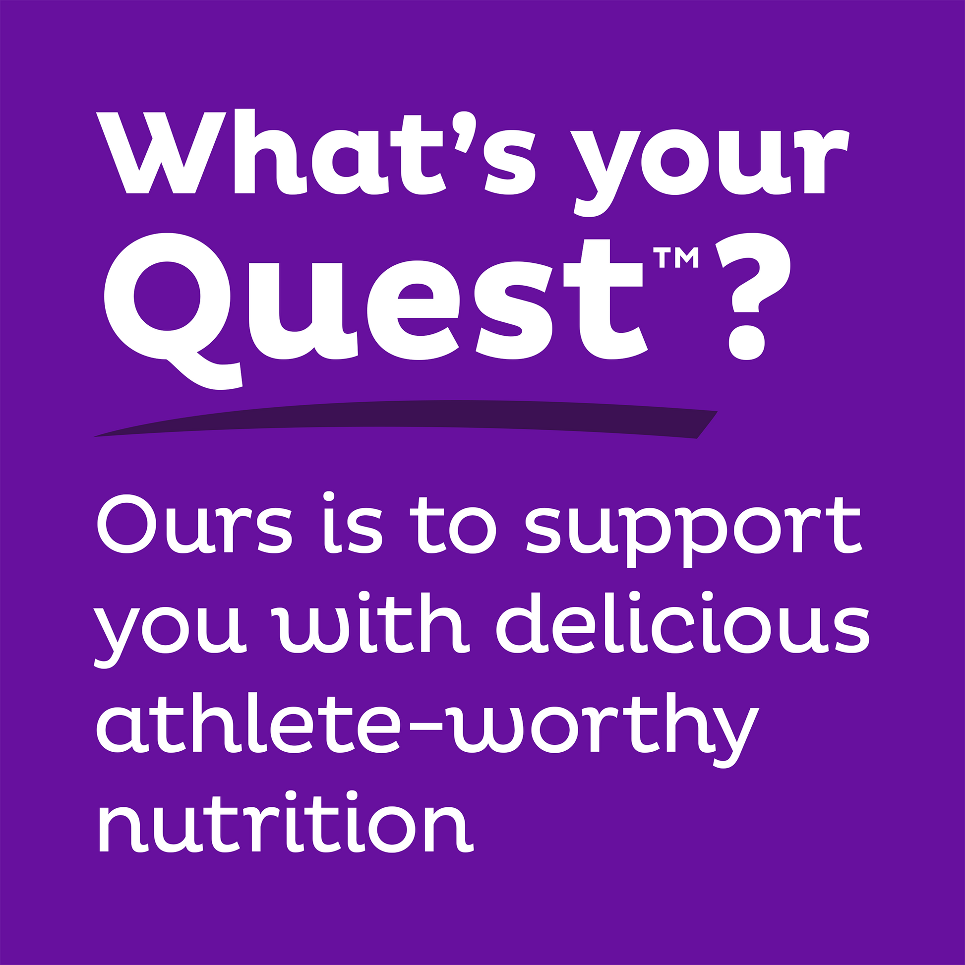 double-chocolate-chunk-protein-bars-l2 qst-000241_double-chocolate-chunk-protein-bars_9.png